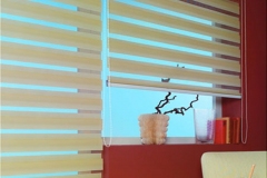duo-roller-blinds-london