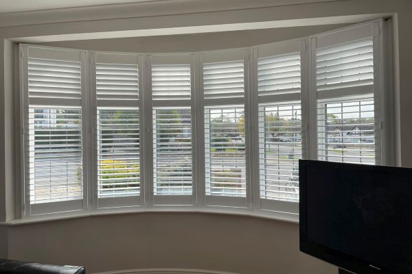 Pet Friendly Blinds